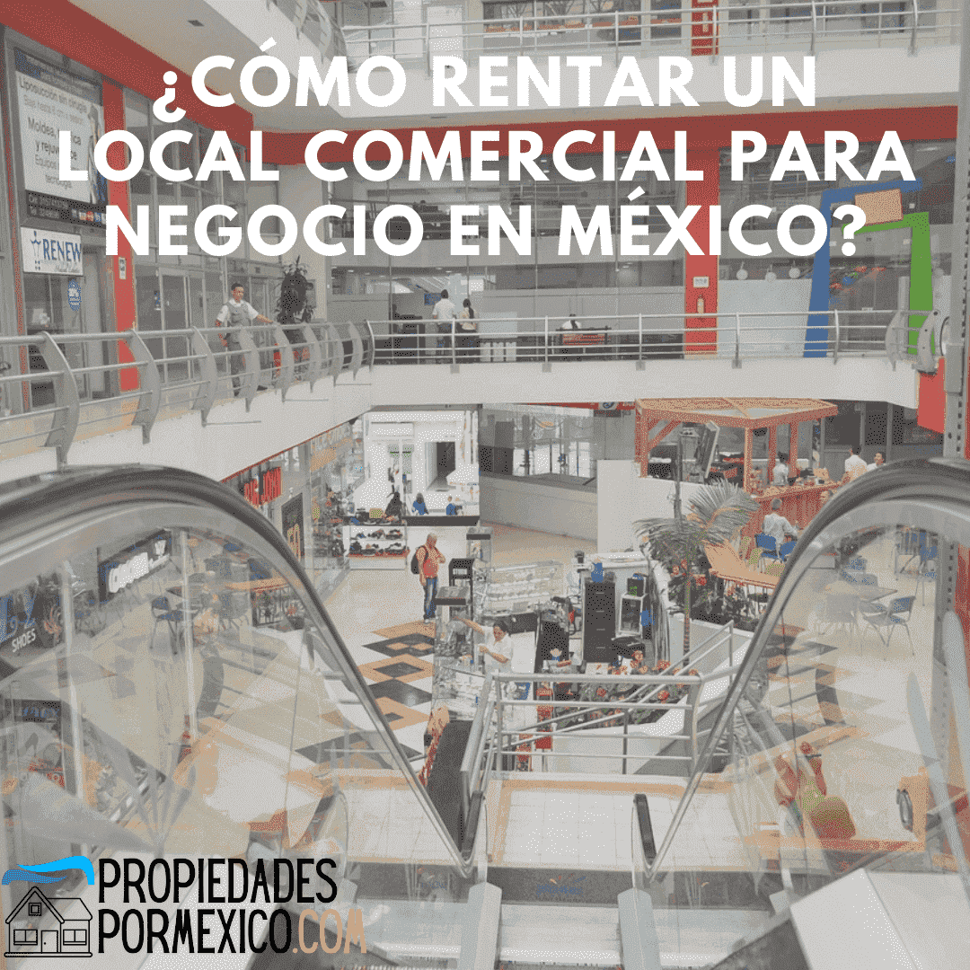 ¿Cómo rentar un local comercial para negocio en México ...